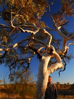 Karijini country